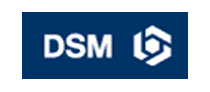 dsm-engineering-plastics